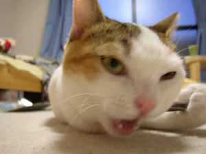 �~�q�����