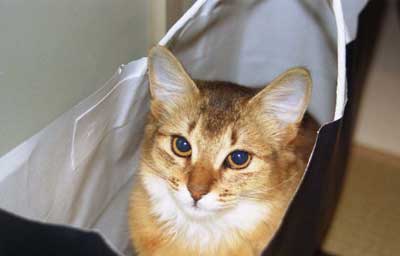 �A�x�x�����