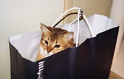 �A�x�x�����