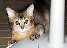 �r������