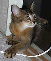 �r������