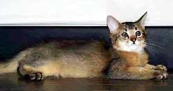 �r������