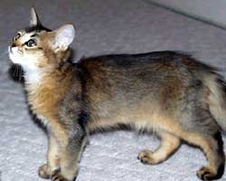 �r������