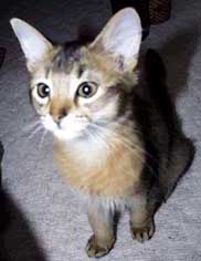 �r������