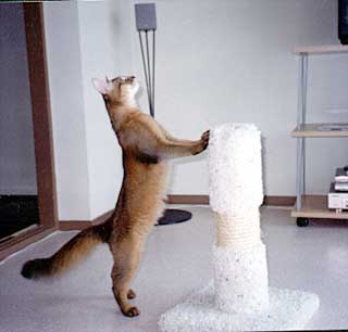 ���E����