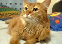 ���C�v�������