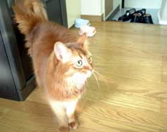 ���C�v�������