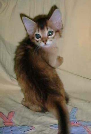 �}���������