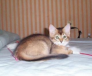 �}���������