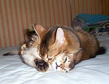 �}���������