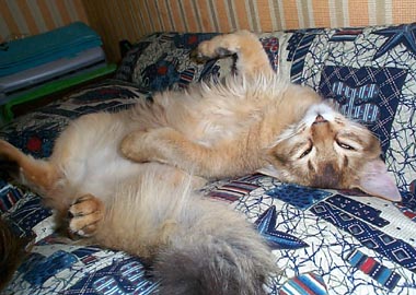 �}���������