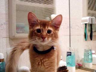 �}������