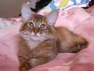 �}������