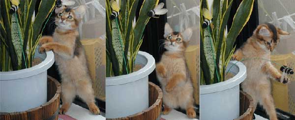 ���N�����