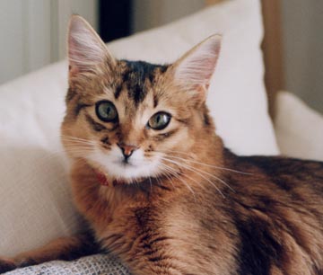 �m���}�����