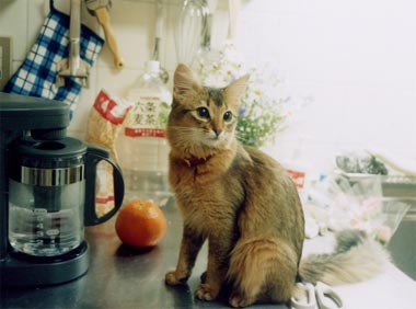 �m���}�����