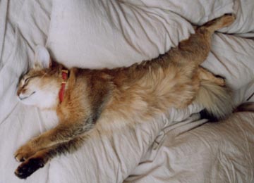 �m���}�����