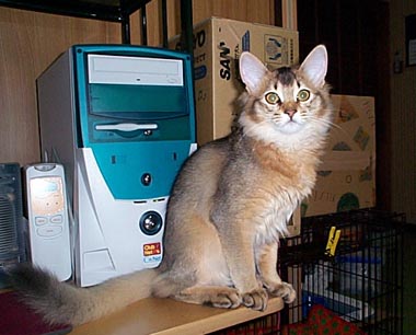 ���r�[����