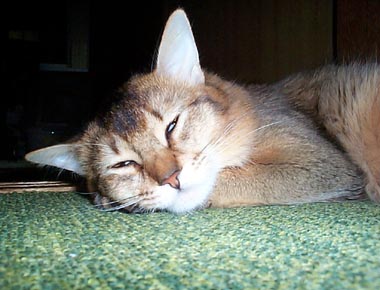 ���r�[����