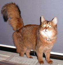 �T���~�����