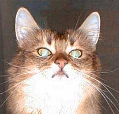 �T���~�����